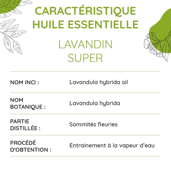 Huile Essentielle de Lavandin super Bio 10ml