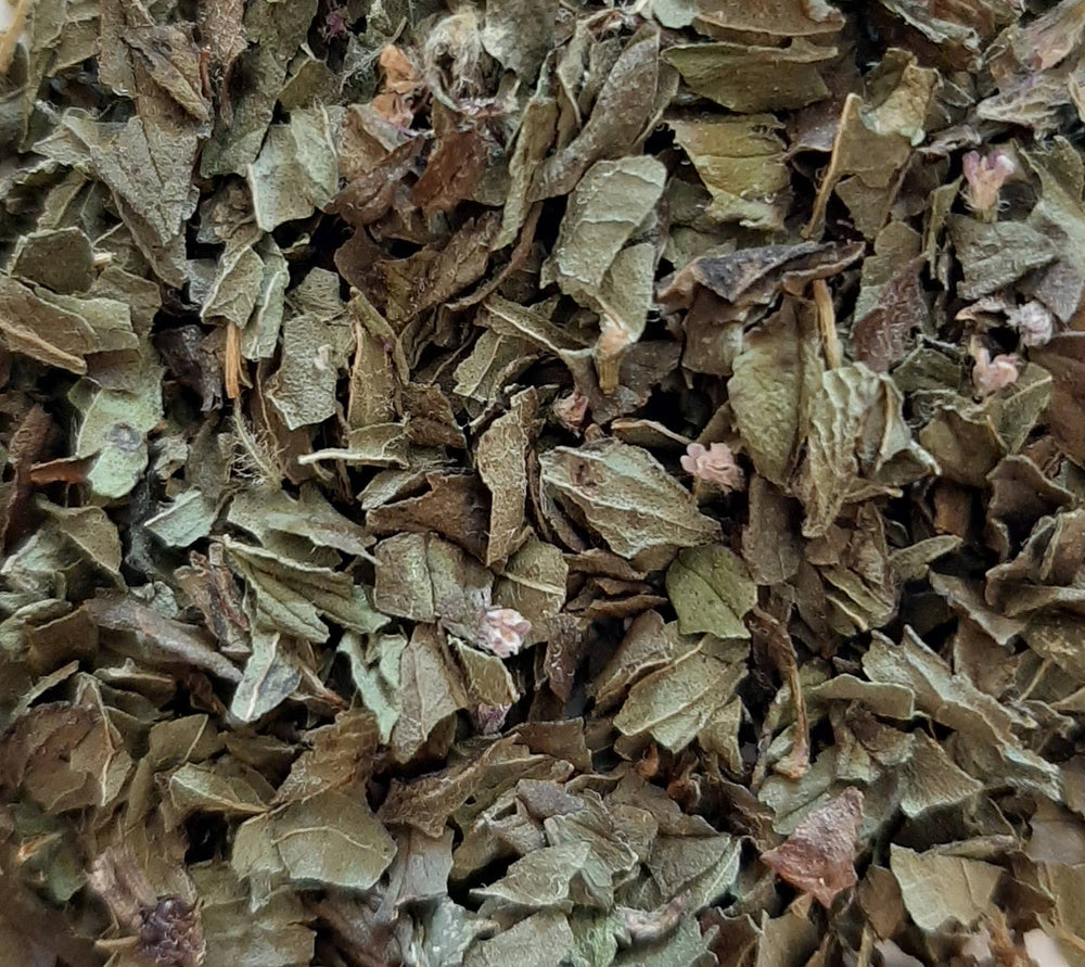 Complément plantes TISANE INFUSETTE MENTHE POIVREE BIO (x20) phytothérapie naturel Boutique Achaiah