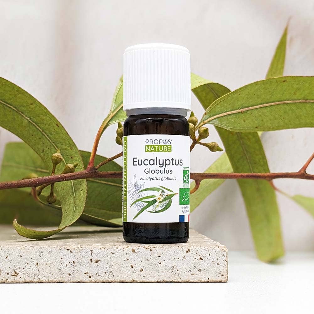 Huile essentielle Huile Essentielle D'Eucalyptus Globulus Bio 10Ml bio flacon compte-goutte  10 ml Boutique Achaiah