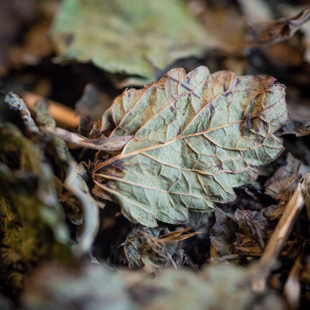 Complément plantes INFUSION MELISSE BIO FEUILLE FRANCE 25G phytothérapie naturel Boutique Achaiah