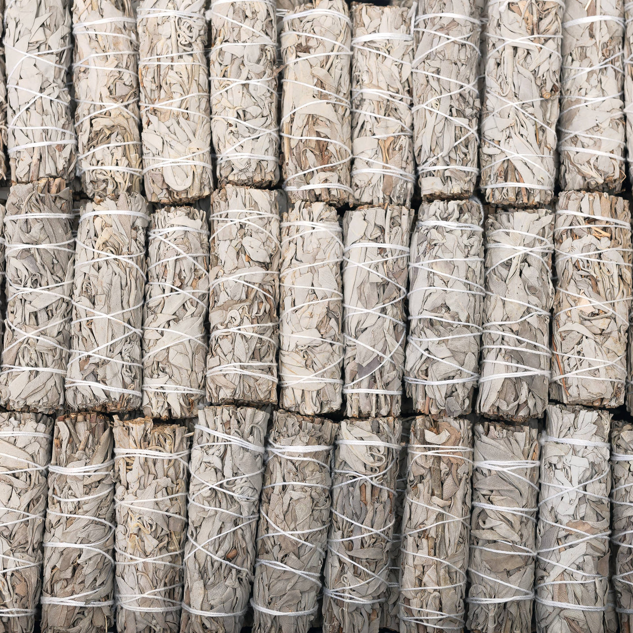 Baguettes à herbes à la sauge blanche de Californie (Salvia Apiana) — bien-être spiritualité Boutique Achaiah