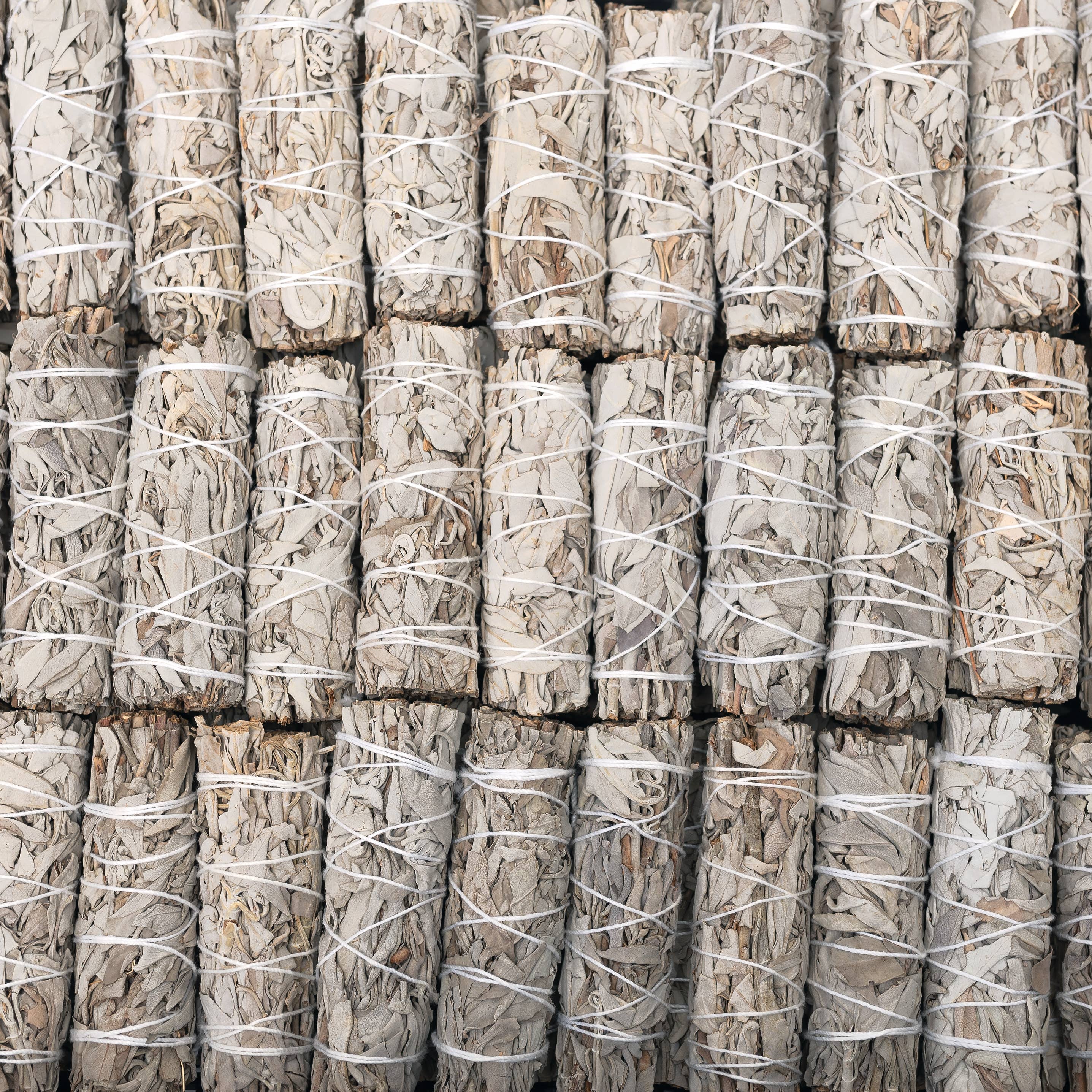 Baguettes à herbes à la sauge blanche de Californie (Salvia Apiana) — bien-être spiritualité Boutique Achaiah