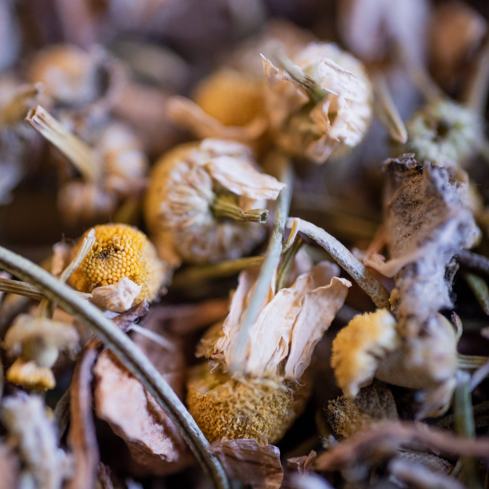 Complément plantes TISANE L'HEPATANTE BIO 50G phytothérapie naturel Boutique Achaiah