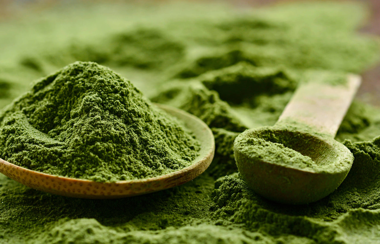 Thé Matcha Japonais Bio en Poudre - Conditionné en France — bien-être spiritualité Boutique Achaiah