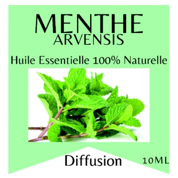 Huiles Essentielles Menthe Arvensis - 10 ml bien-être spiritualité Boutique Achaiah