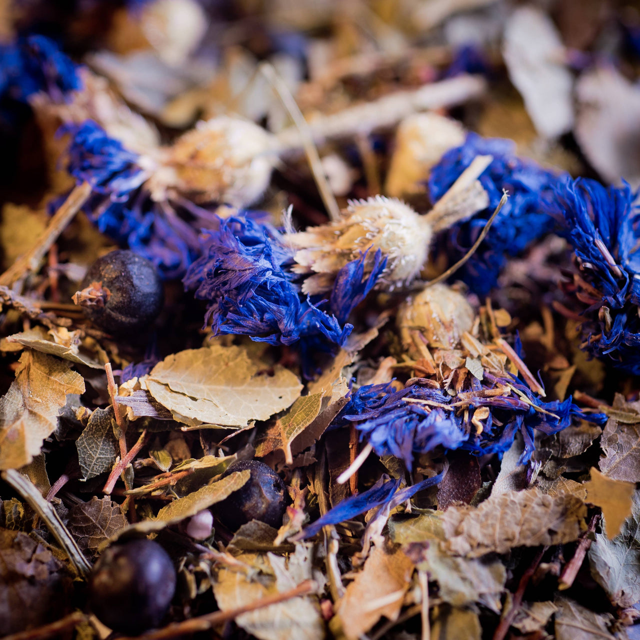 Tisane Voies Urinaires bio 50g — bien-être spiritualité Boutique Achaiah
