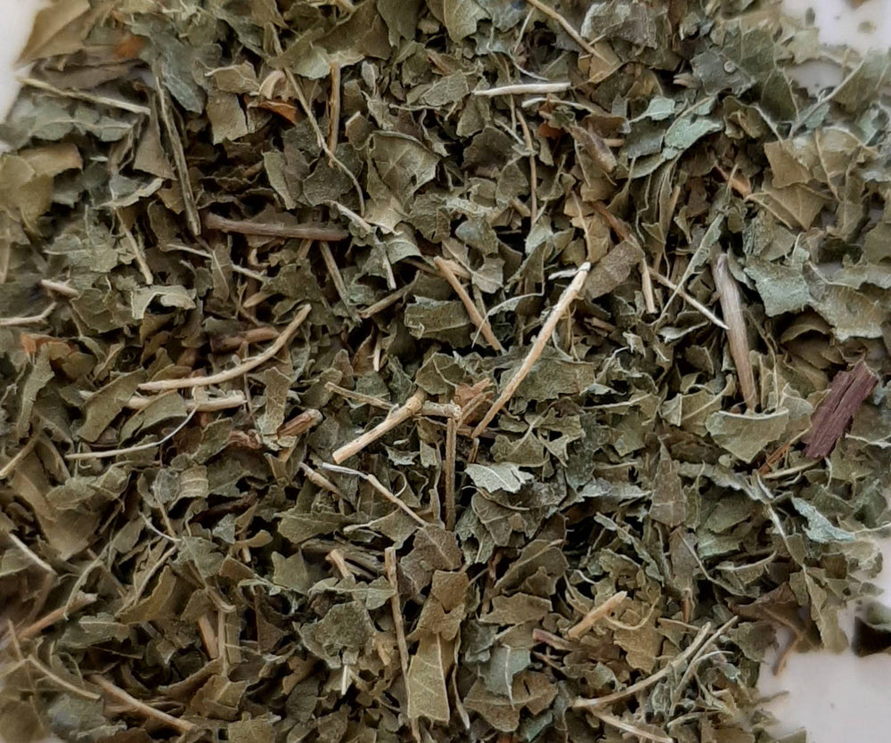 Complément plantes TISANE INFUSETTE VERVEINE BIO (X20) phytothérapie naturel Boutique Achaiah