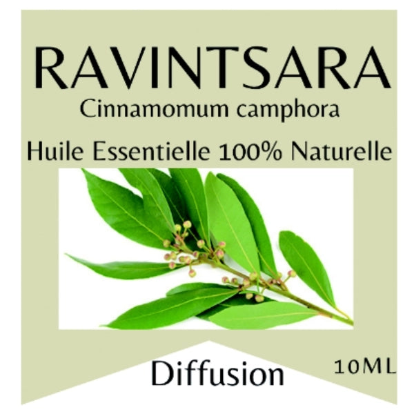 Huile essentielle Ravintsara bio flacon compte-goutte  10 ml Boutique Achaiah