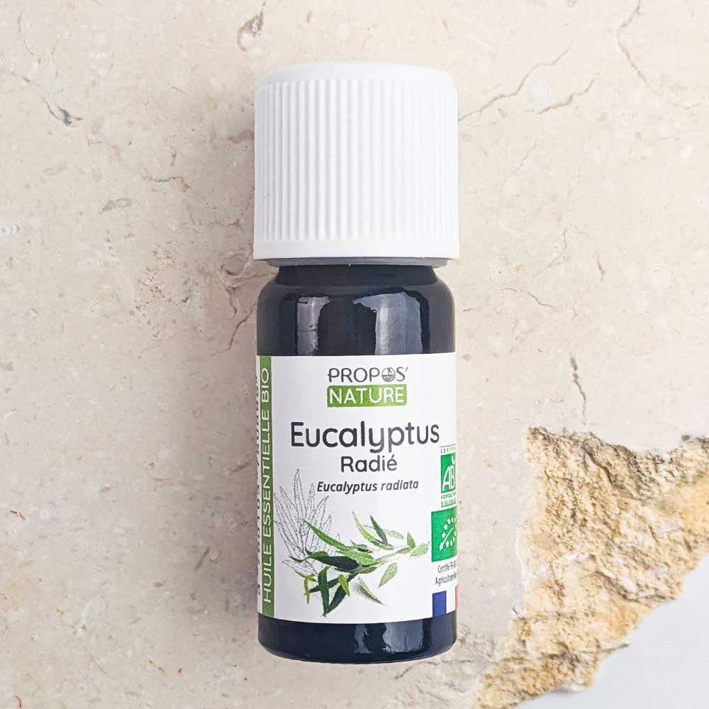 Huile Essentielle d'Eucalyptus radié Bio 10ml