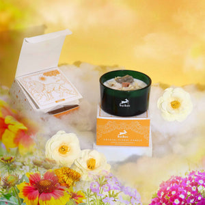 Bougie magique Hop Hare – Le Lion
