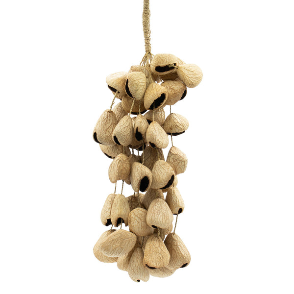 Shaker naturel en coques de graines Pangi – 50 coques