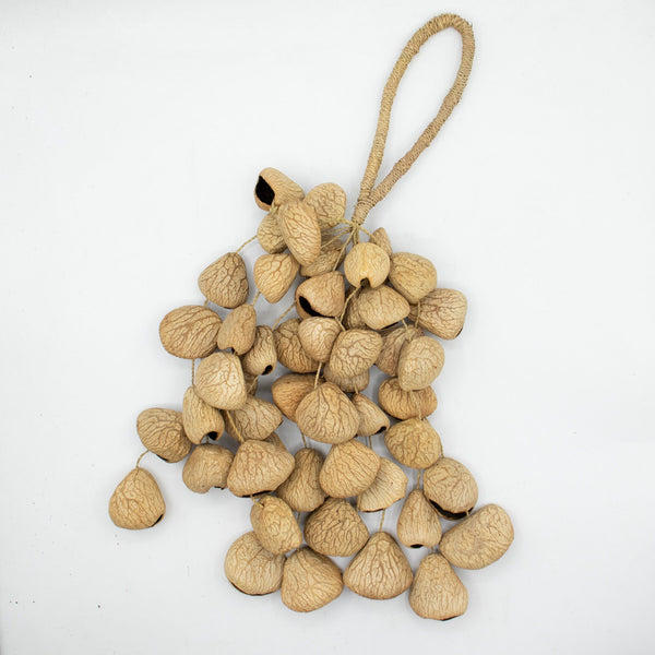 Shaker naturel en coques de graines Pangi – 50 coques