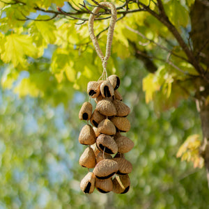 Kenari Shell Long Rattle (50 Shells)