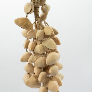 Kenari Shell Long Rattle (50 Shells)