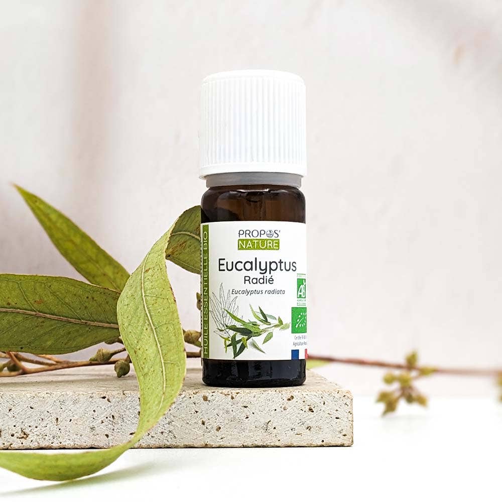 Huile essentielle Huile Essentielle D'Eucalyptus Radié Bio 10Ml bio flacon compte-goutte  10 ml Boutique Achaiah