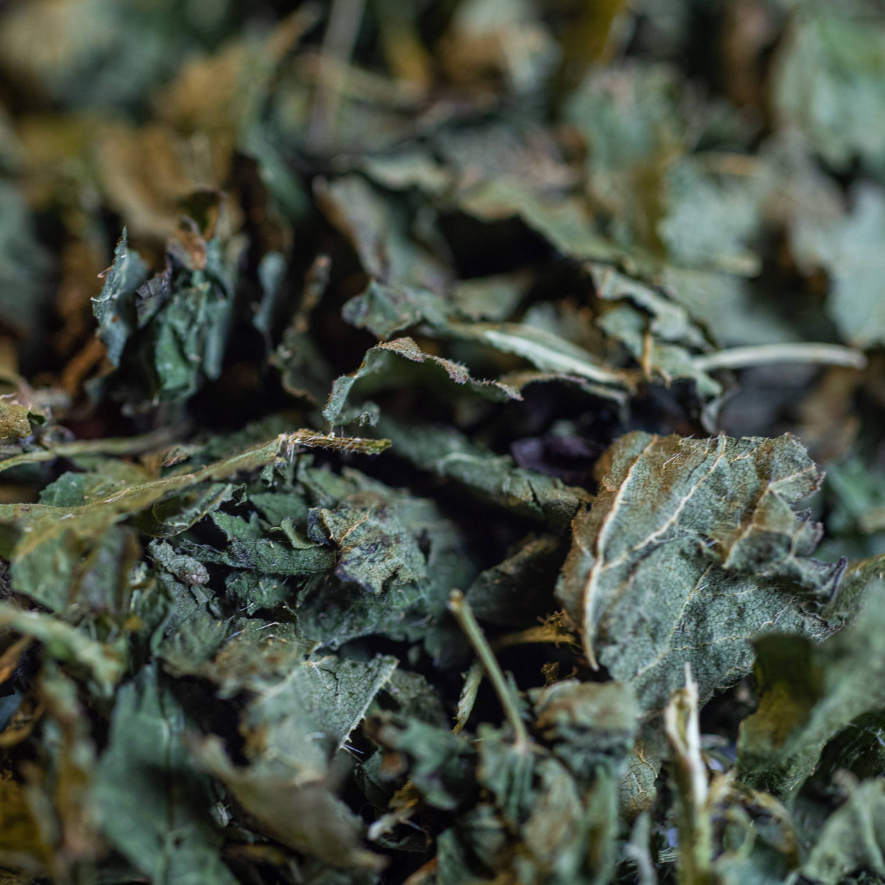 Infusion Ortie bio Feuille  40g – ACHAIAH