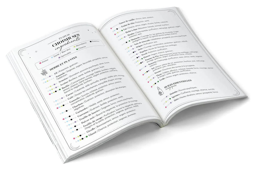 CARNET DE SORTILÈGES - Saupoudrez votre vie de magie